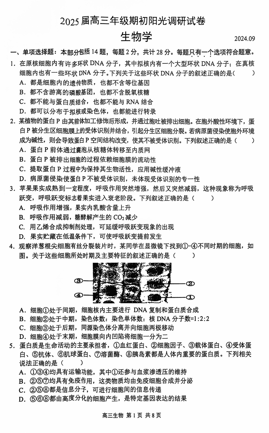 江苏苏州2025届高三上学期期初阳光调研生物试卷及参考答案