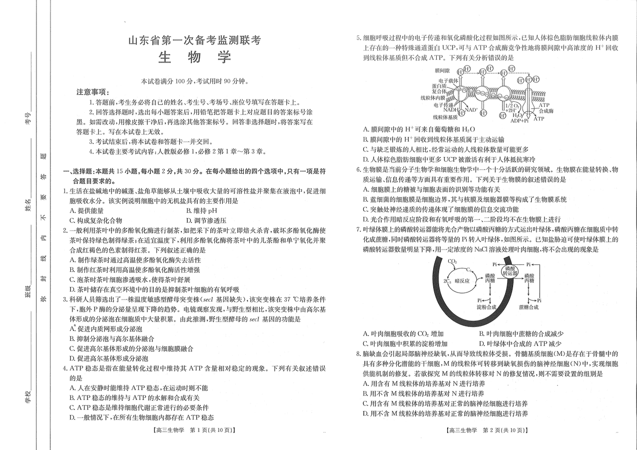 山东省2025届高三第一次备考监测10月联考生物试卷及参考答案