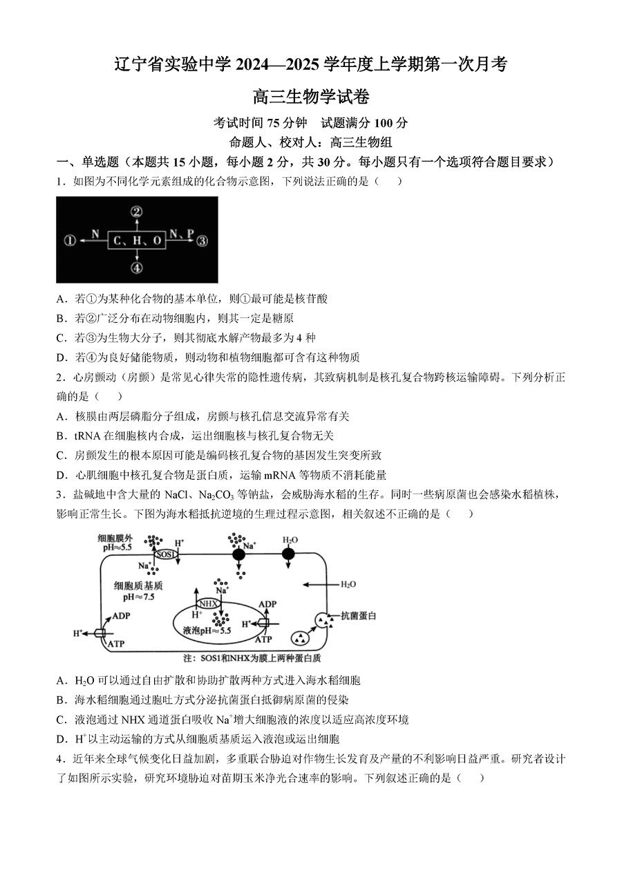 辽宁实验中学2024-2025学年高三上学期10月月考生物试卷及参考答案