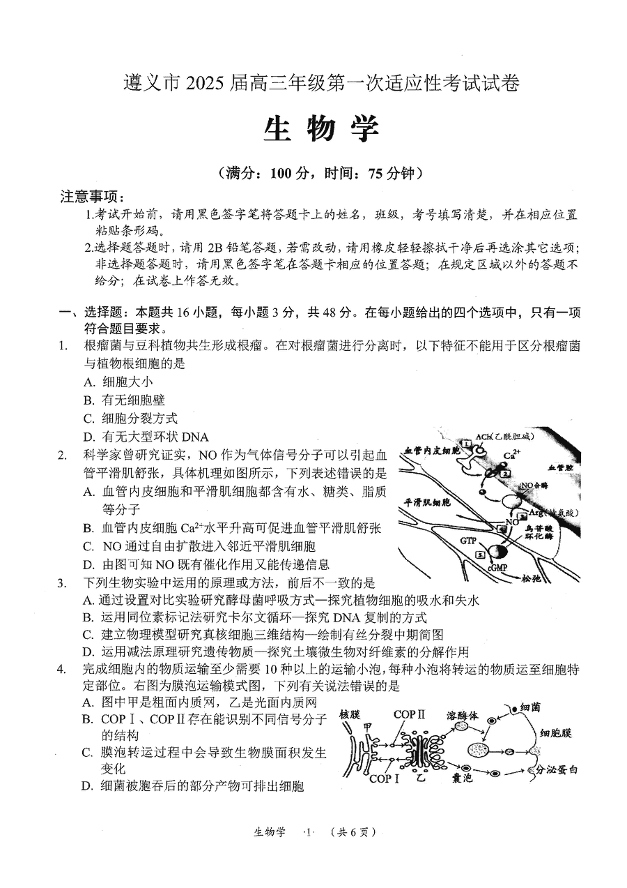 贵州遵义2025届高三年级第一次适应性考生物试卷及参考答案