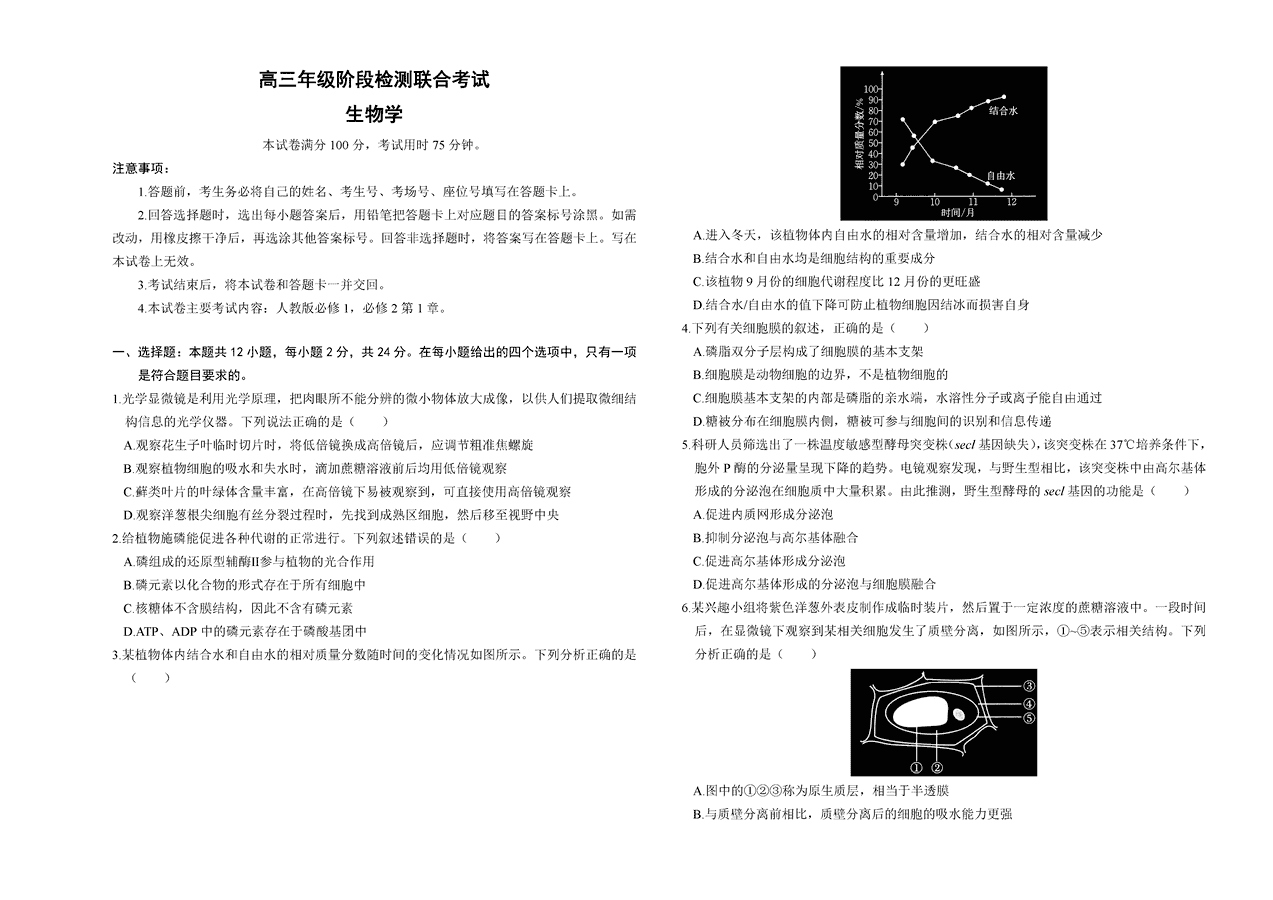 湖南金太阳2025届高三上学期10月阶段检测联考生物试卷及参考答案