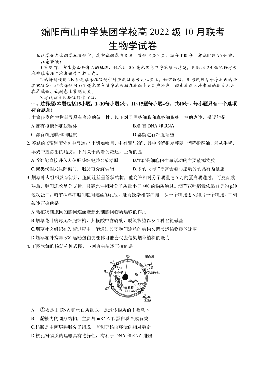 四川南山中学集团学校2025届高三上学期10月联考生物试卷及参考答案