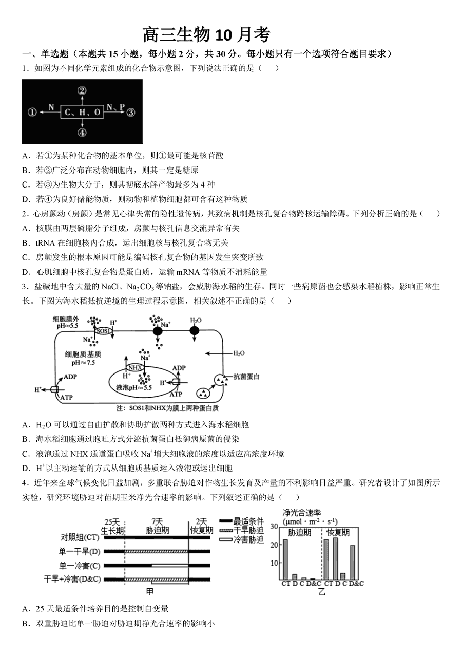 吉林梅河口五中2024-2025学年高三上学期10月月考生物试卷及参考答案