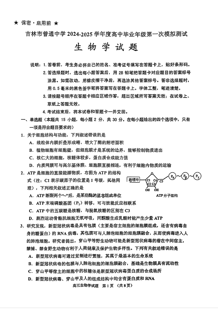 2025届吉林市普通中学高三上学期一模生物试卷及参考答案