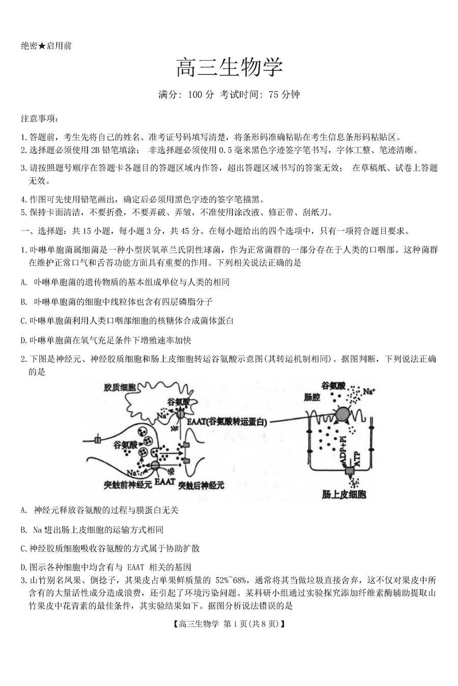 安徽省鼎尖名校联盟2025届高三上11月期中生物试卷及参考答案