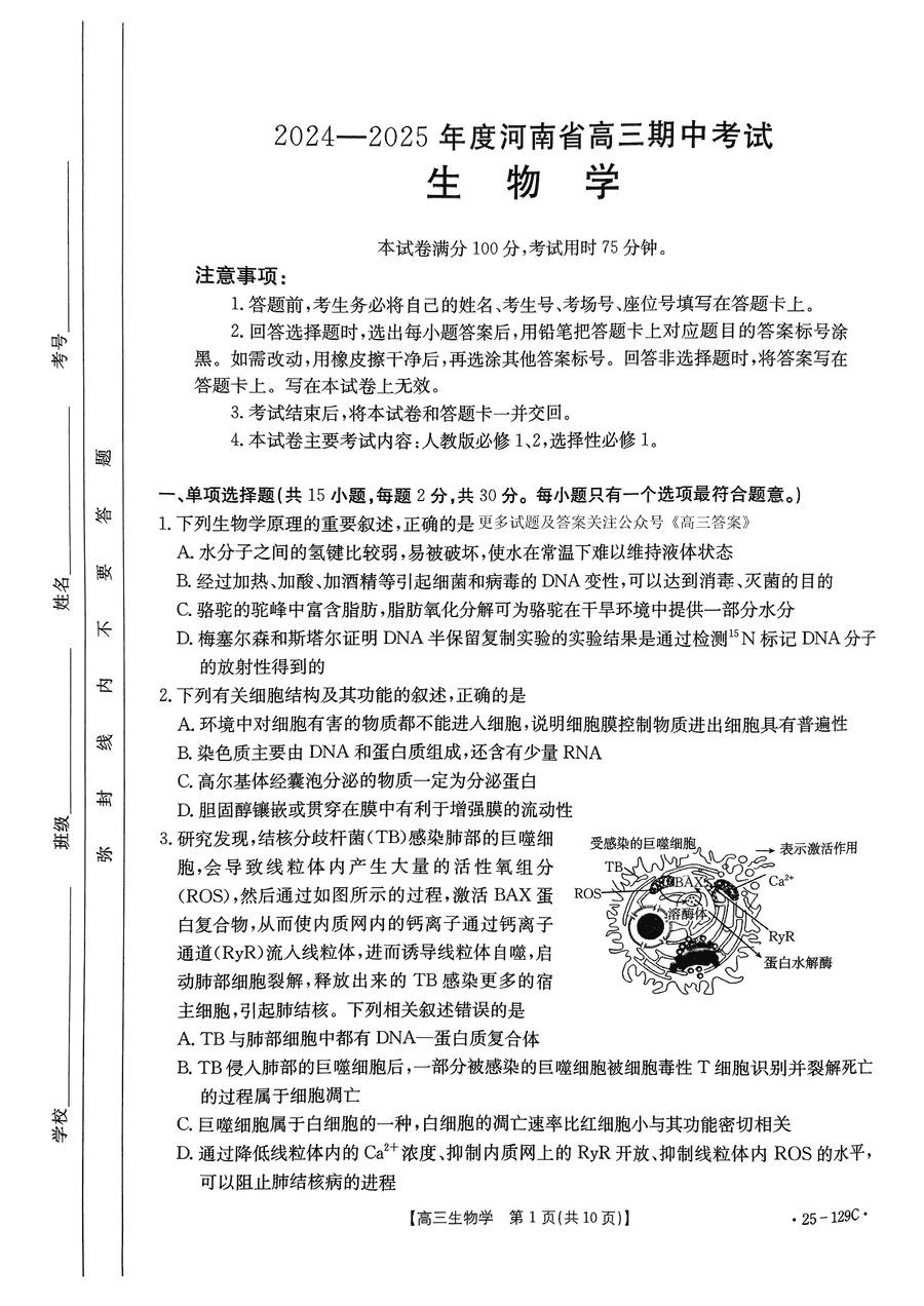 河南省金太阳2025届高三11月期中生物试卷及参考答案