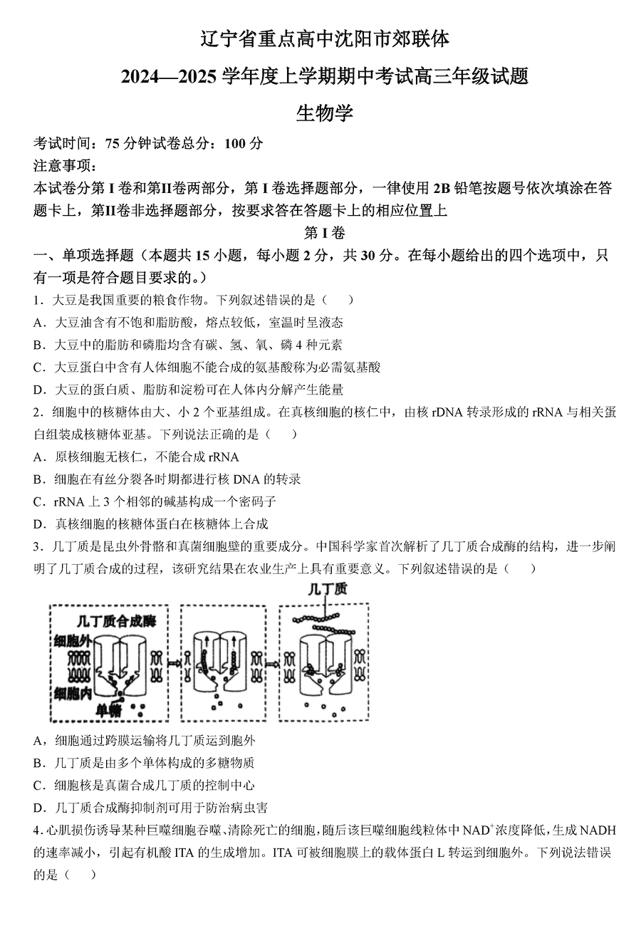 沈阳市郊联体2024-2025学年高三上11月期中生物试卷及参考答案