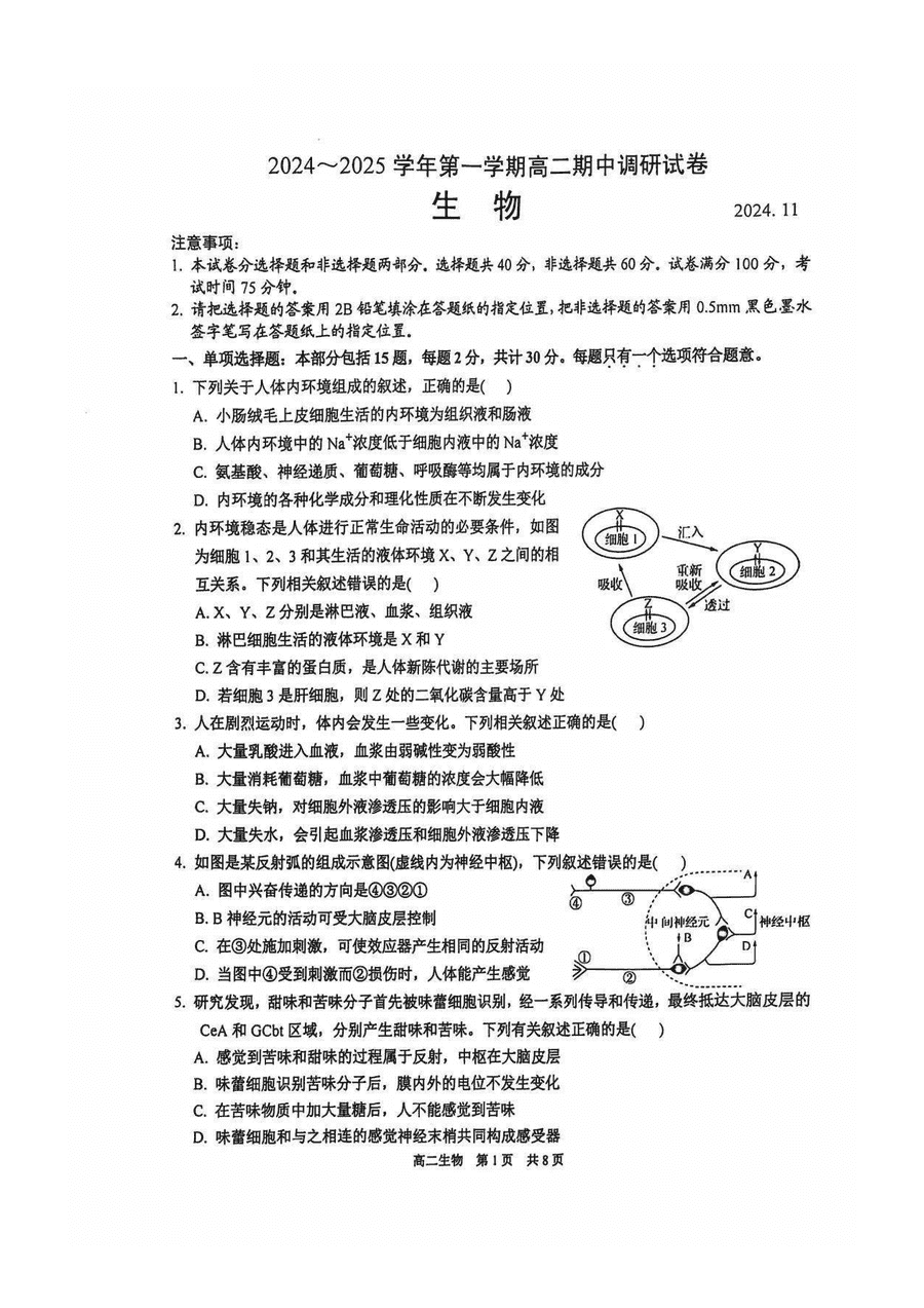 江苏苏州2024-2025学年上学期高二期中生物试卷及参考答案