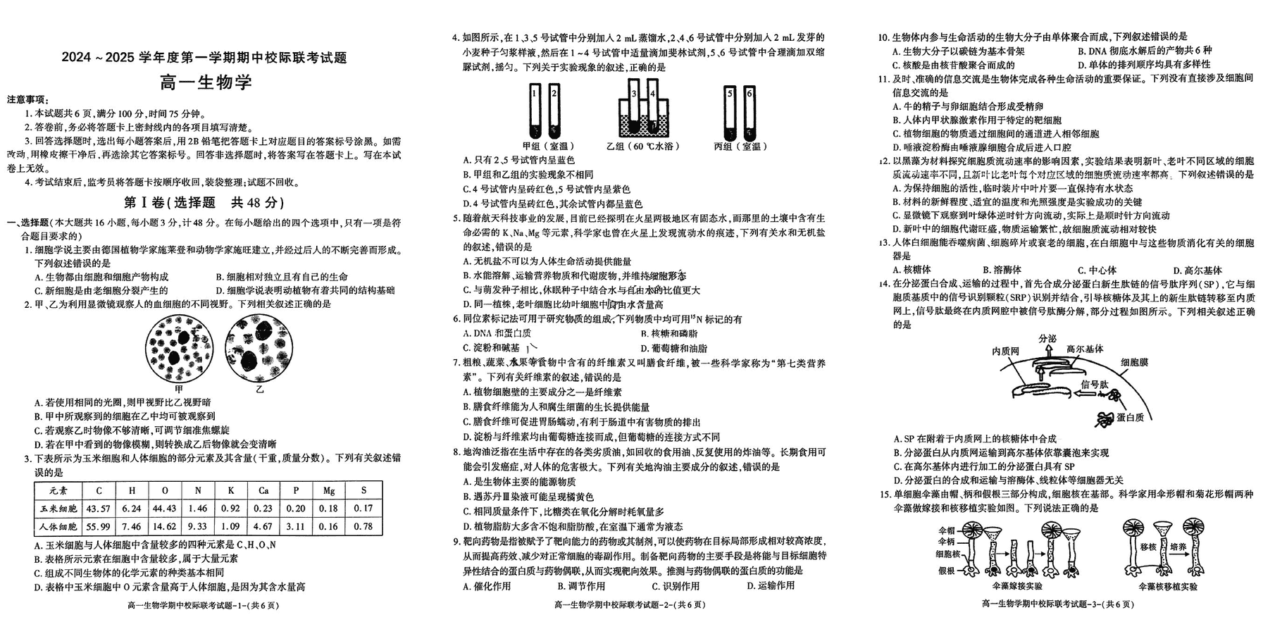 汉中期中联考2024-2025学年高一11月期中生物试卷及参考答案