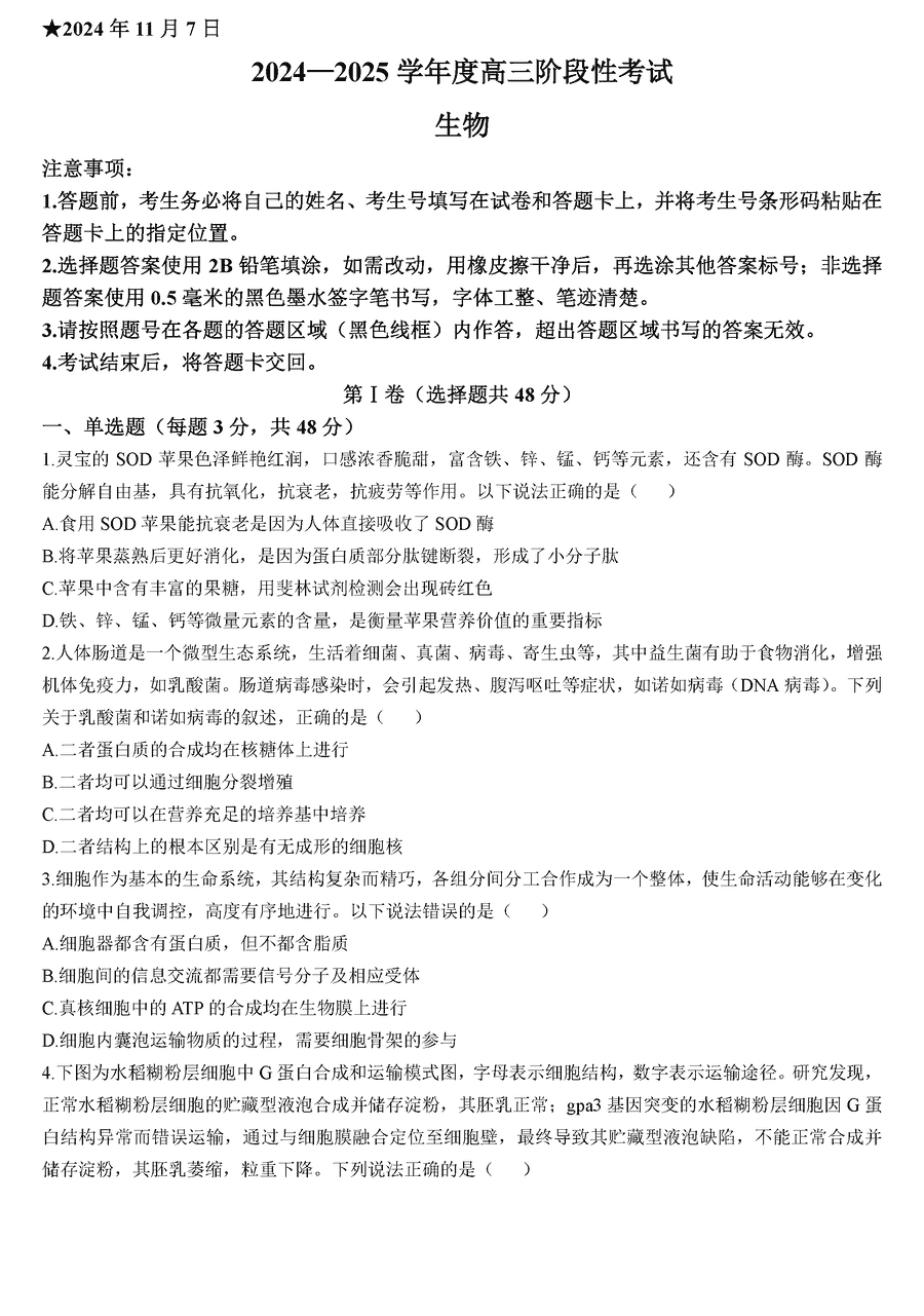 河南三门峡2024-2025学年高三上学期11月期中生物试卷及参考答案