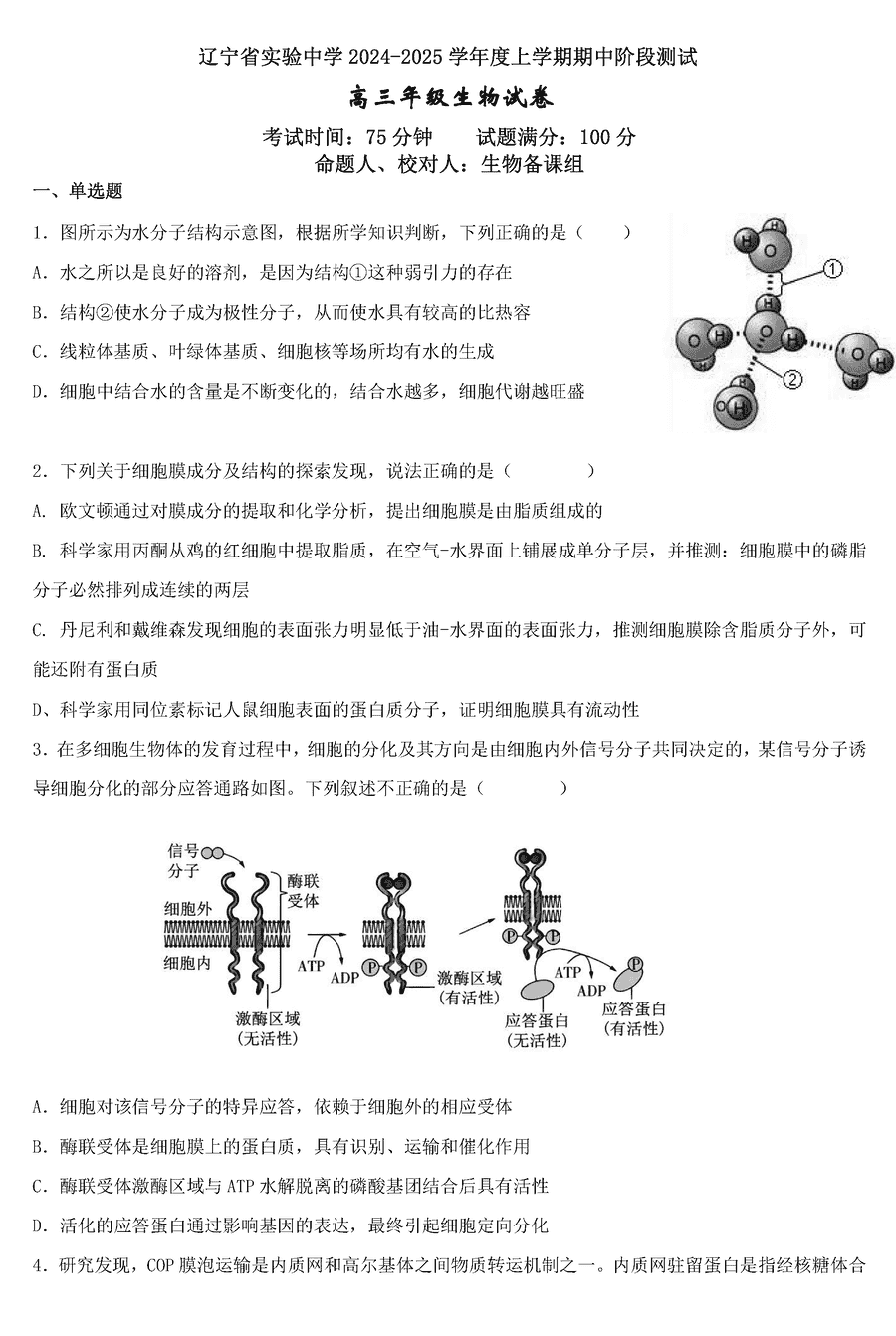 辽宁实验中学2024-2025学年高三上学期期中生物试卷及参考答案