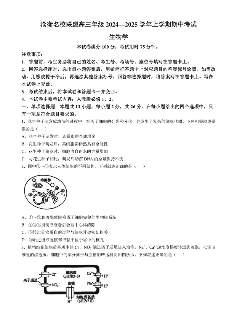 河北沧衡名校联盟2025届高三上学期11月期中生物试卷及参考答案