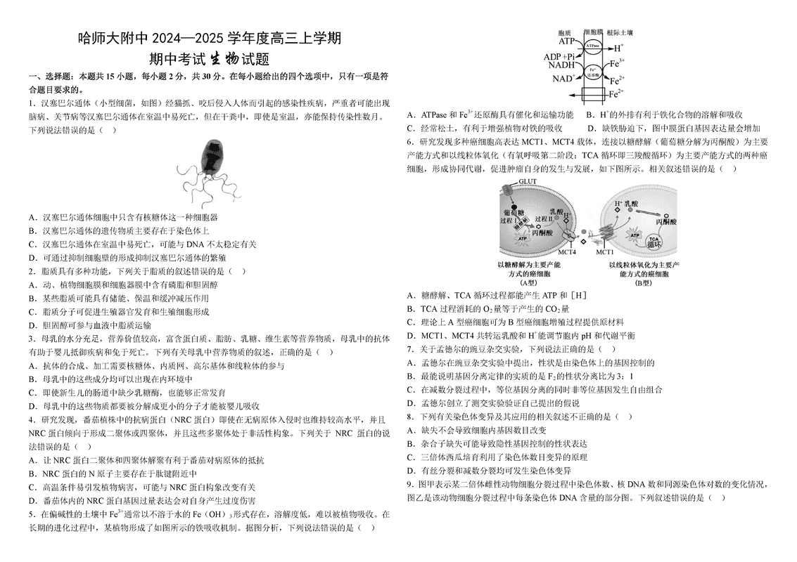 哈师大附中2025届高三上学期期中生物试卷及参考答案