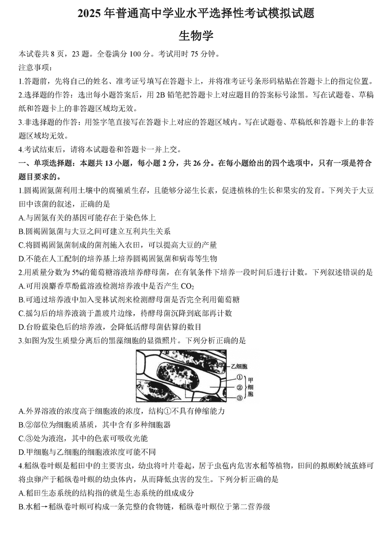 沧州市运东五校2025届高三上学期11月期中生物试卷及参考答案