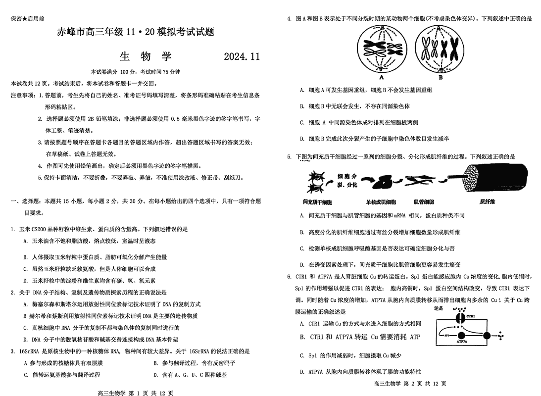 内蒙古赤峰市2024年11.20高三模拟生物试卷及参考答案