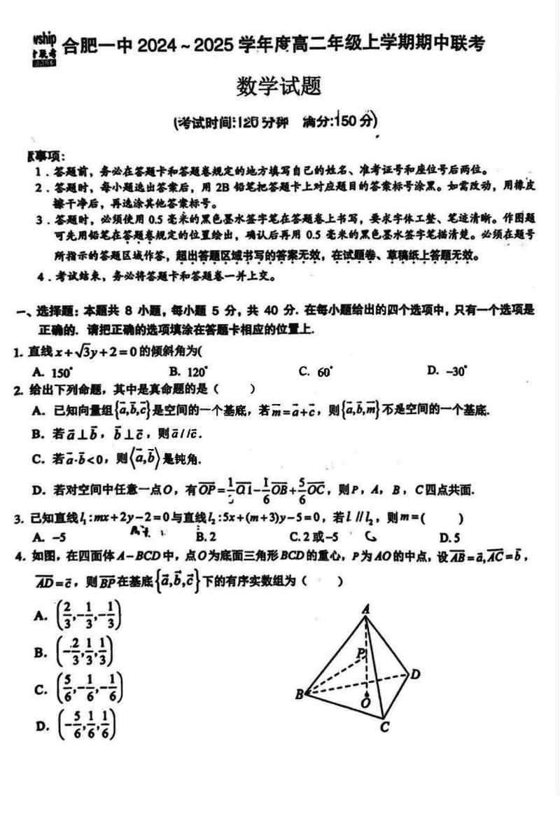 安徽省十联考合肥一中2024年11月高二期中数学试卷及参考答案