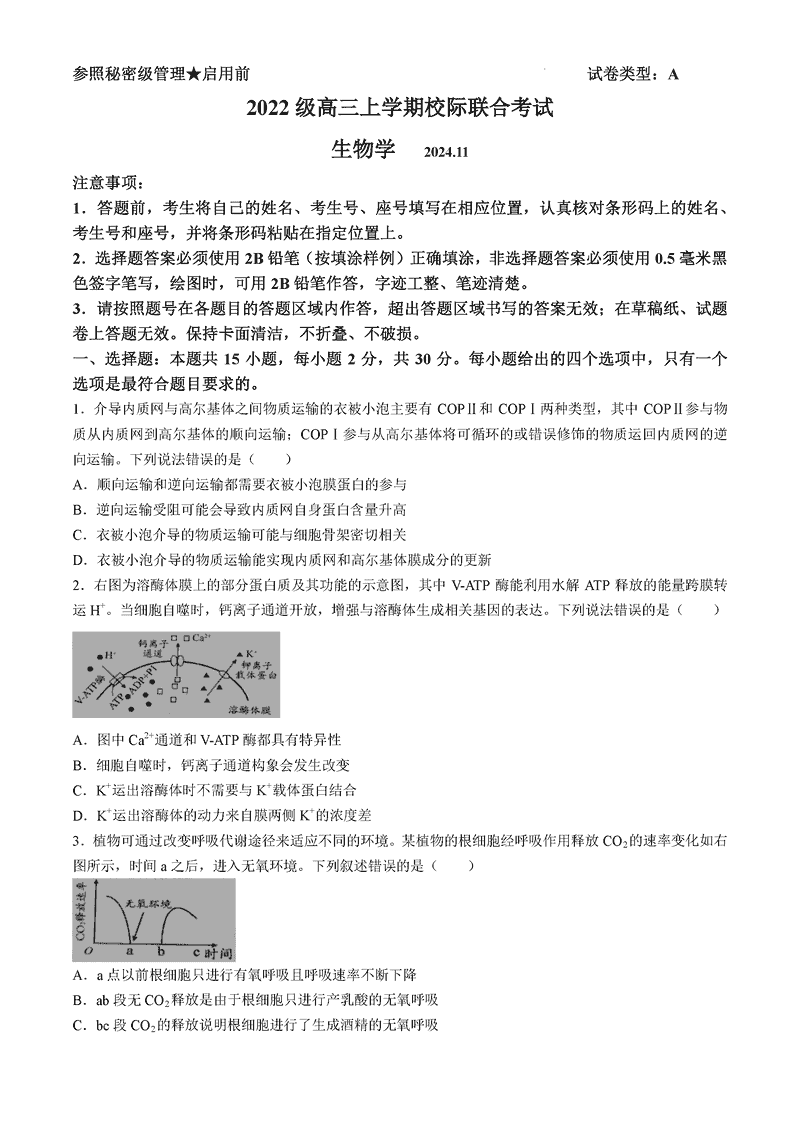 山东日照2025届高三上学期11月期中校际联考生物试卷及参考答案