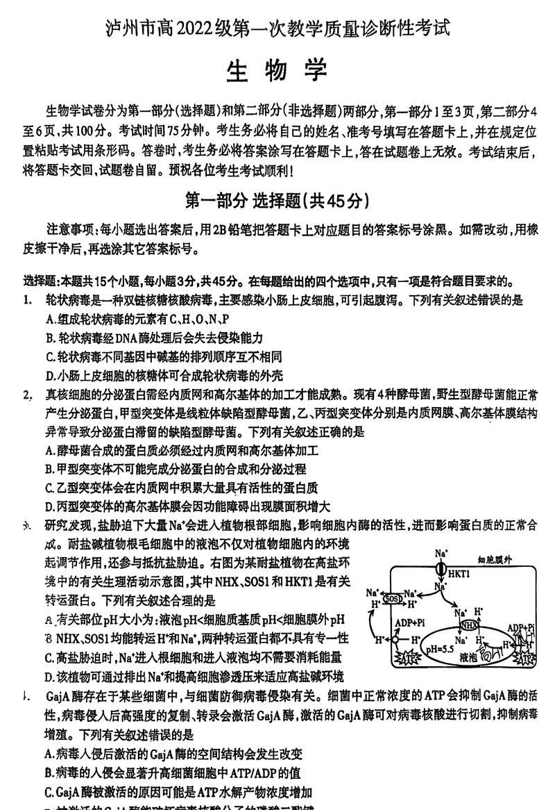 泸州一诊高2025届第一次教学质量诊断生物试卷及参考答案