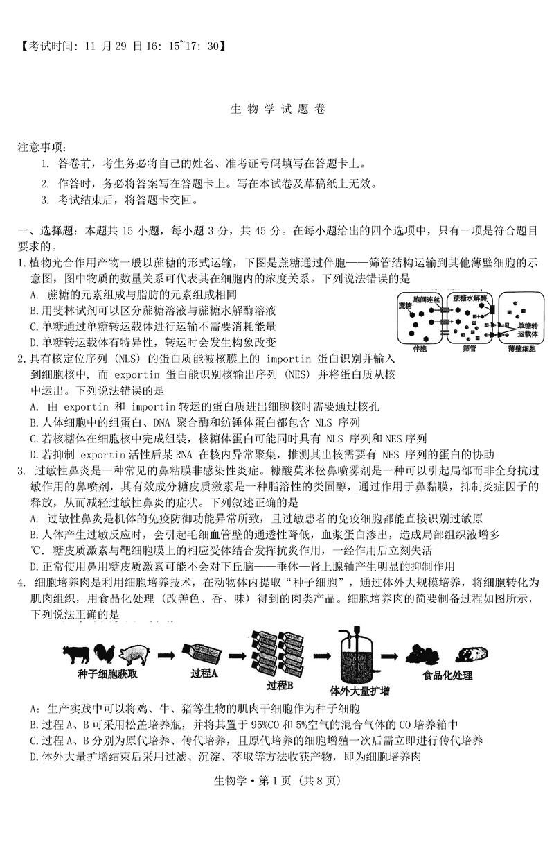 重庆一中2025届高三上学期11月期中生物试卷及参考答案