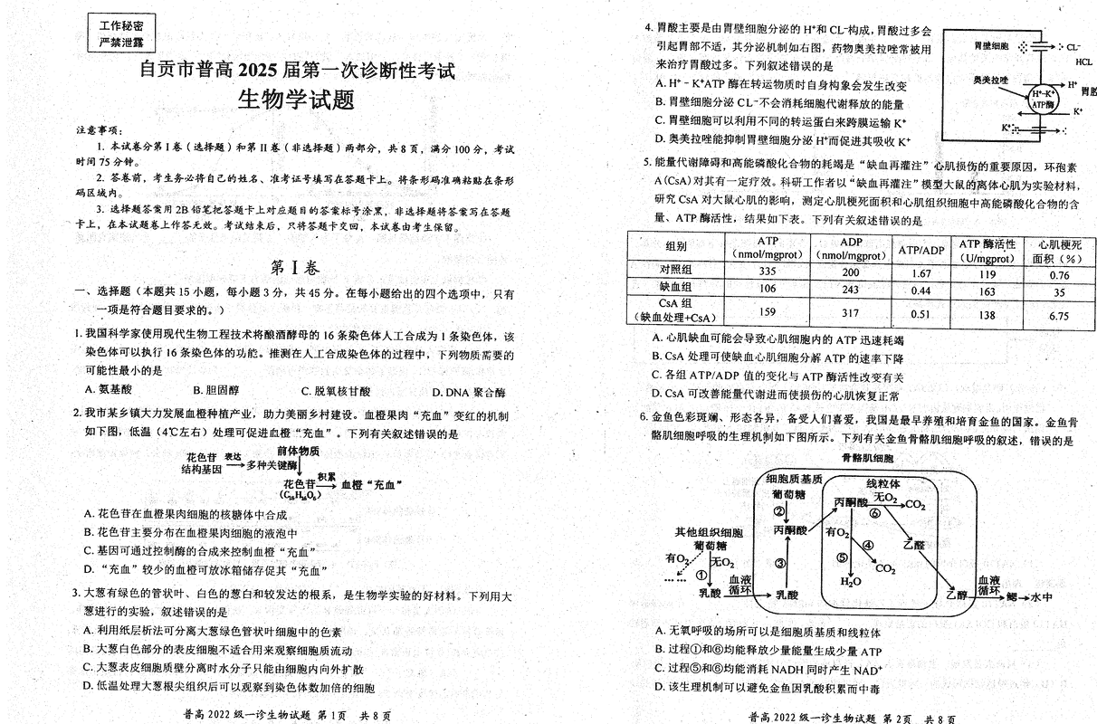 四川自贡普高2025届高三第一次诊断性考生物试卷及参考答案