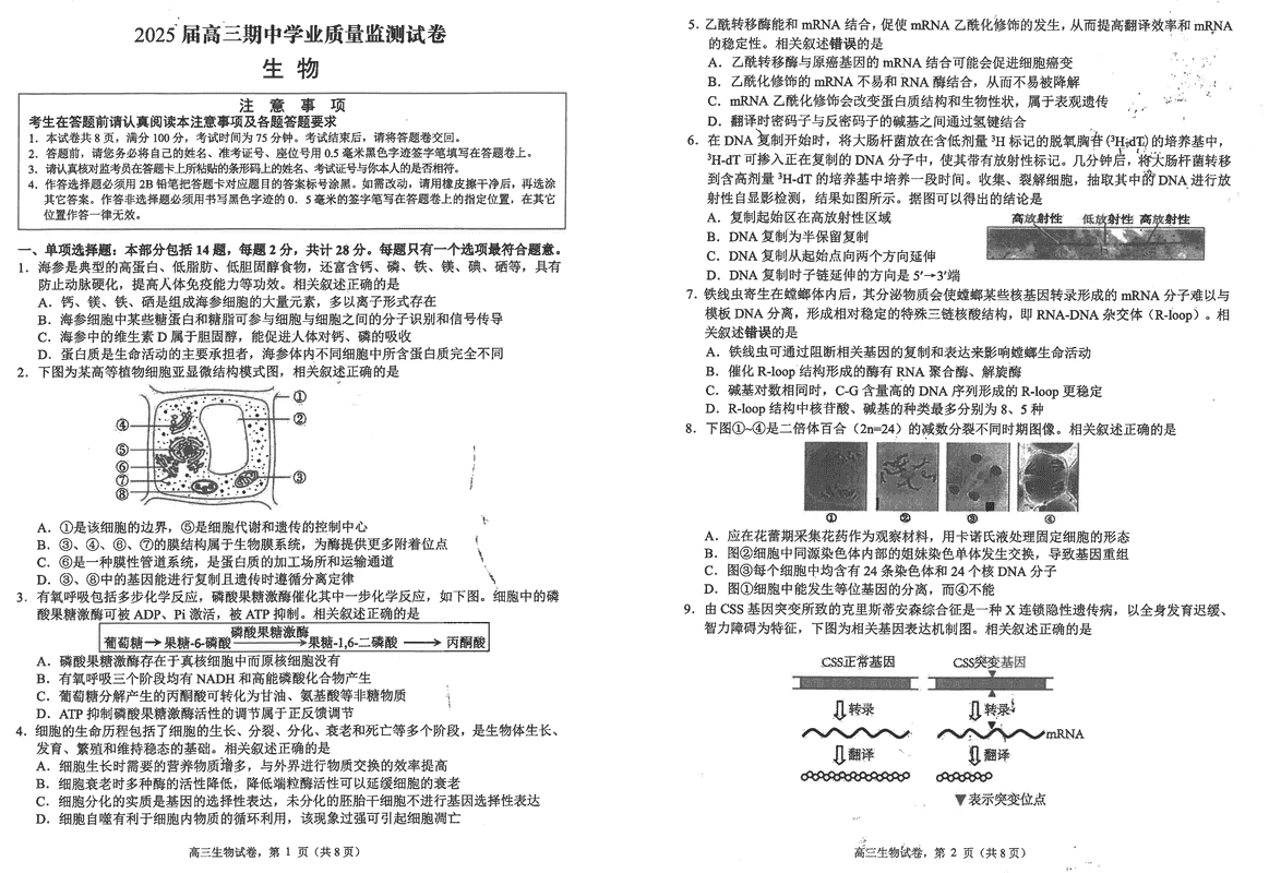 海安高级中学2025届高三上学期期中生物试卷及参考答案