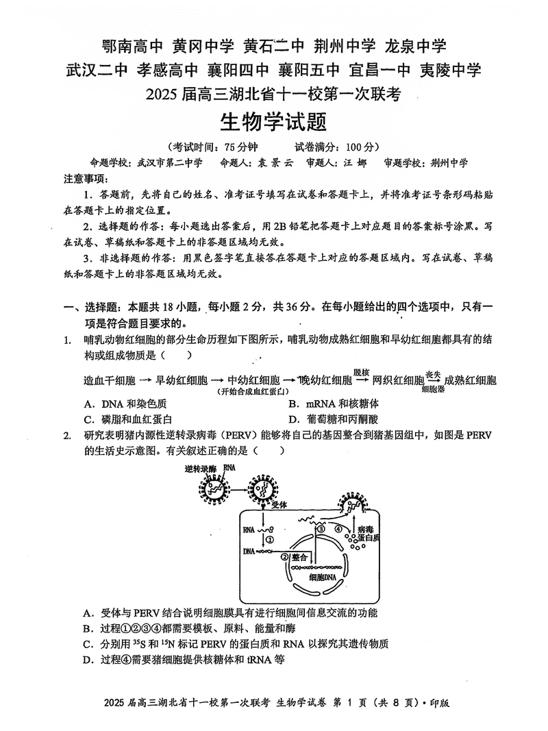 湖北十一校2025届高三12月第一次联考生物试卷及参考答案