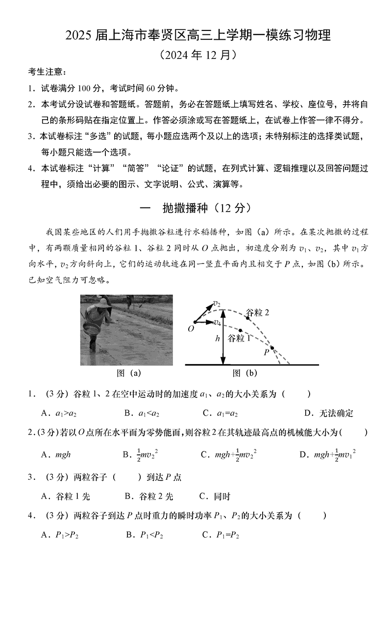 上海市奉贤区2025届高三上学期一模物理试卷及参考答案