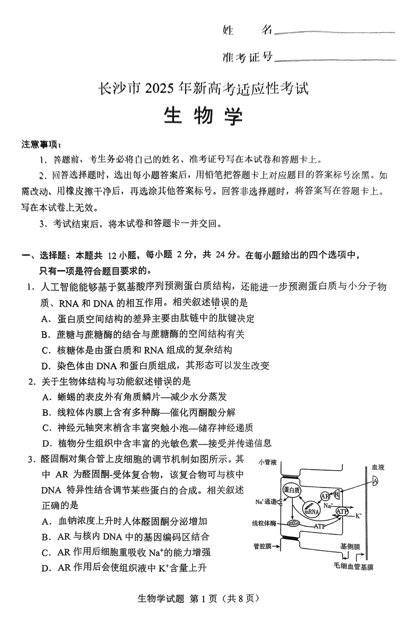 长沙市2024-2025学年高三上学期新高考适应性考试生物试卷及参考答案