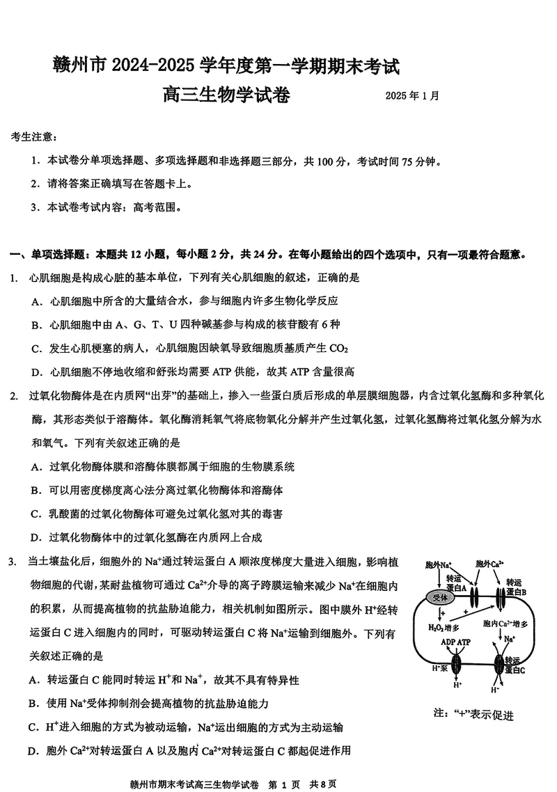 江西赣州2025年1月高三上学期期末生物试卷及参考答案