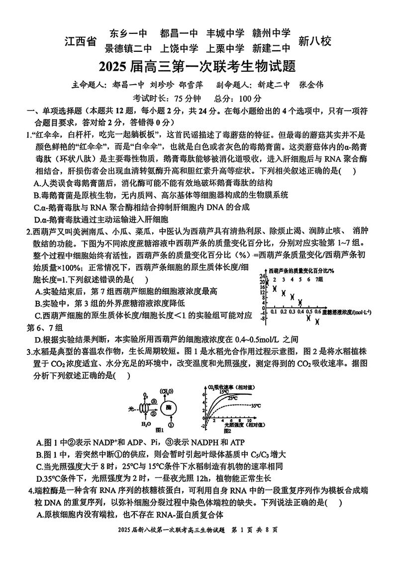 江西省新八校2025届高三第一次联考生物试卷及参考答案