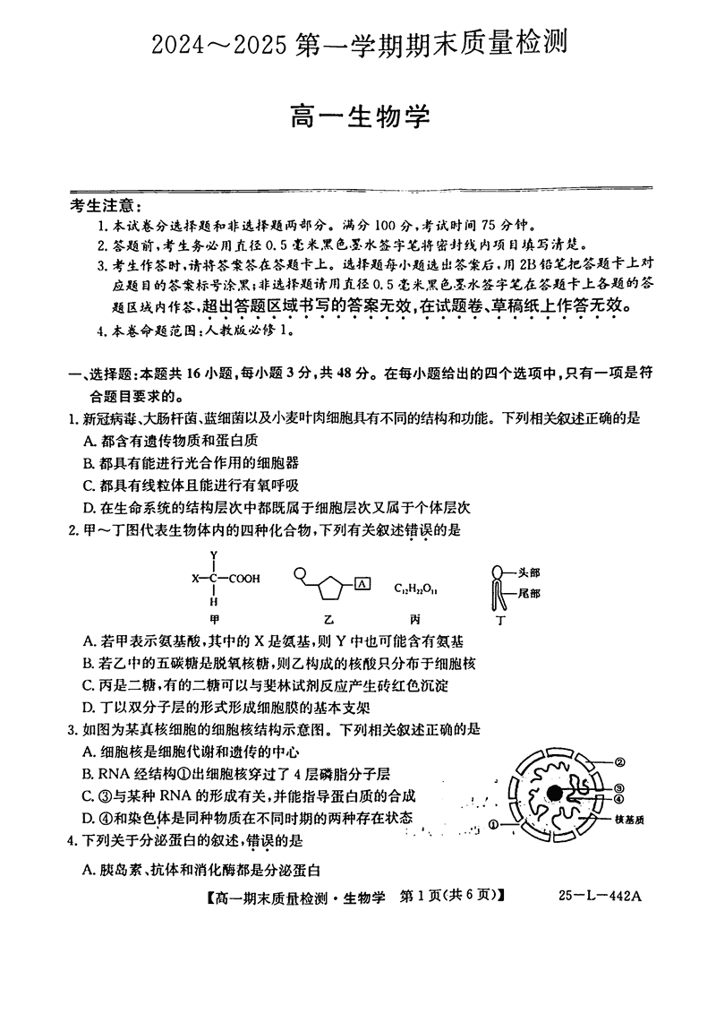 陕西榆林八校联考2024-2025学年高一上学期1月期末生物试卷及参考答案