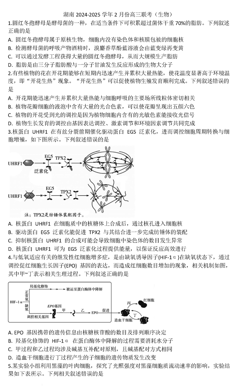 湖南2025届高三天一大联考2月联考生物试卷及参考答案