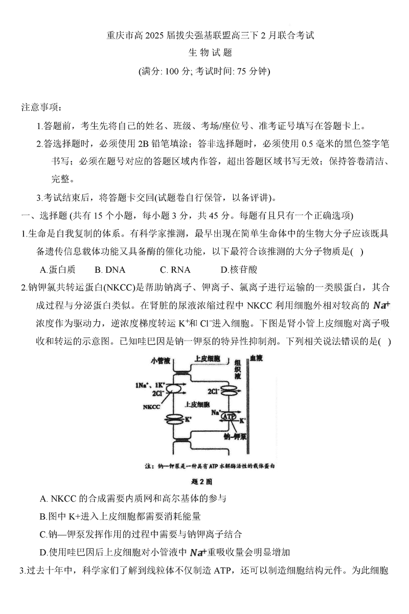 重庆拔尖强基联盟2025届高三下2月联考生物试卷及参考答案