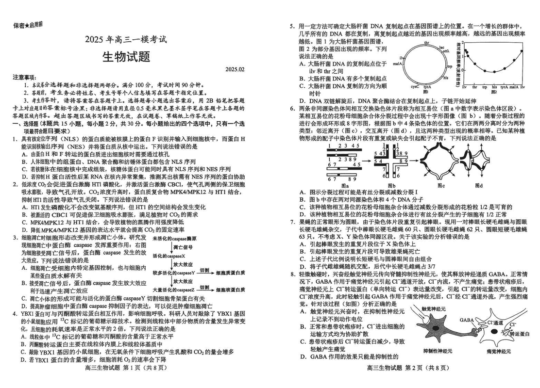 山东菏泽2025年高三一模生物试卷及参考答案