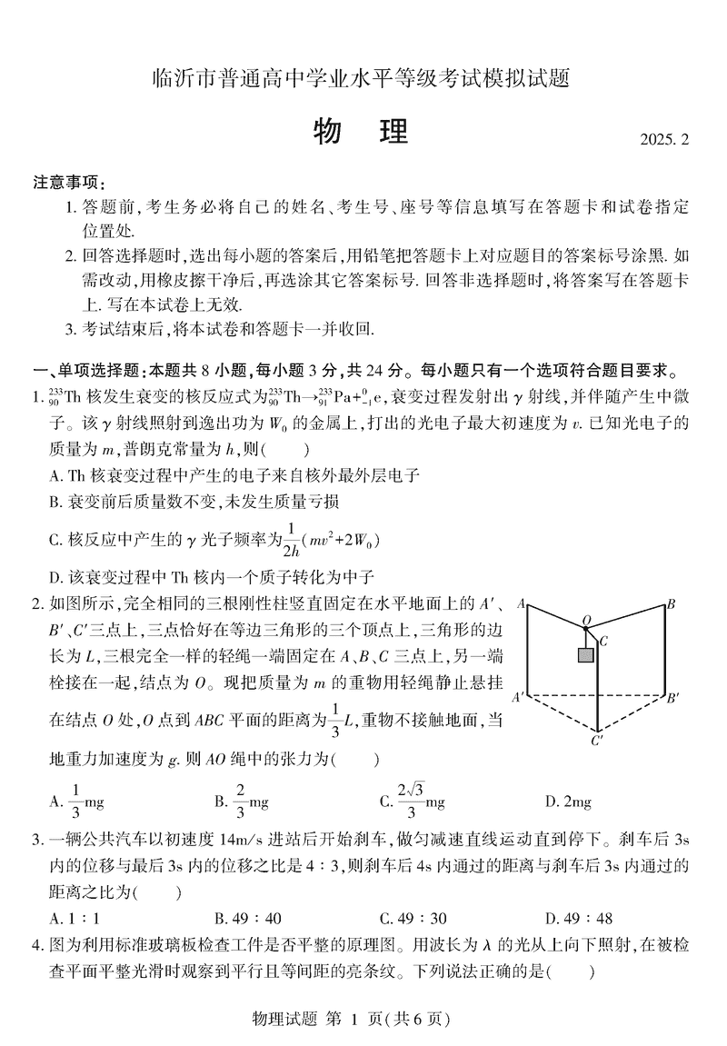 山东临沂2025届高三一模物理试卷及参考答案