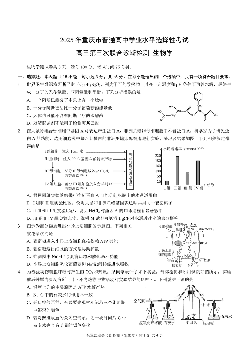重庆康德三诊2025年高三第三次联合检测生物试卷及参考答案