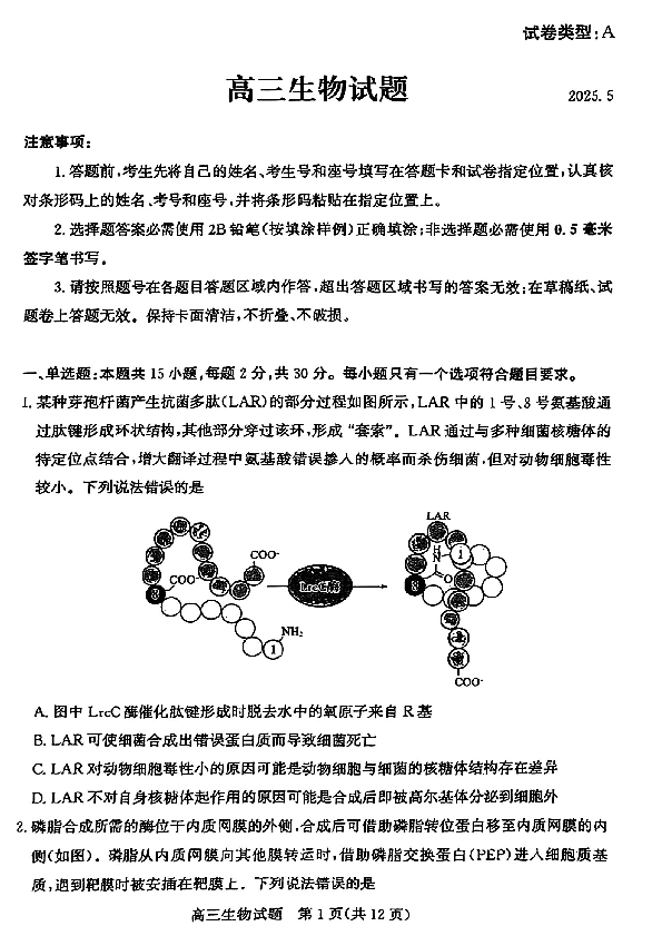 山东滨州2025届高三二模生物试卷及参考答案