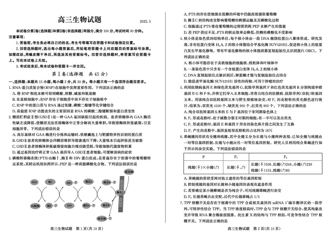 德州三模2025届高三第三次适应性检测生物试卷及参考答案