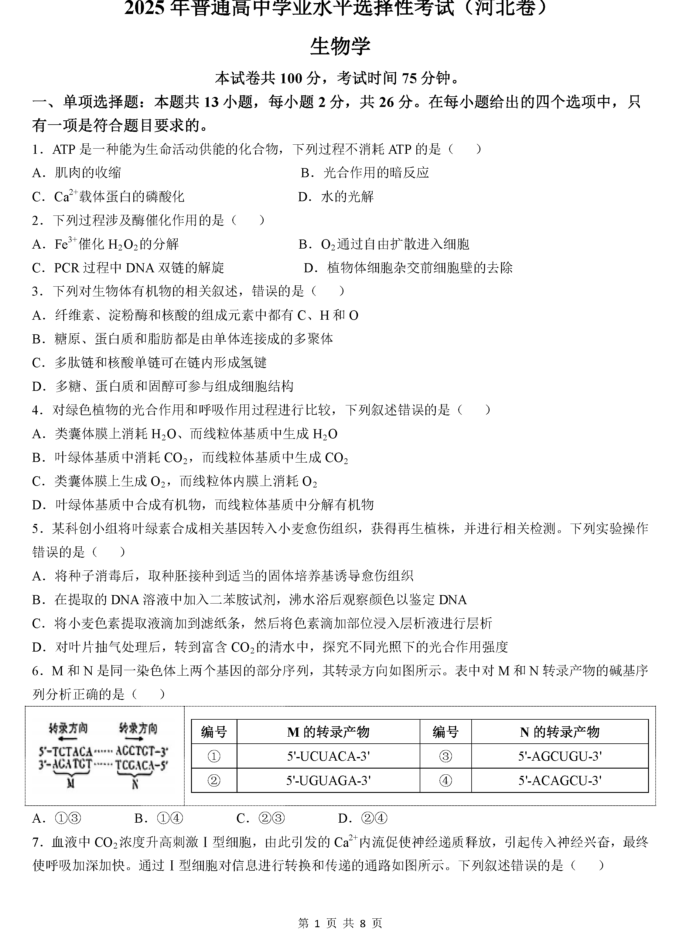 2025年河北高考生物试卷及参考答案解析