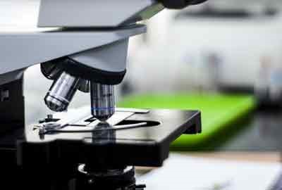 2026湖南高考多少分能上长沙幼儿师范高等专科学校及专业？最低354分附录取分数线