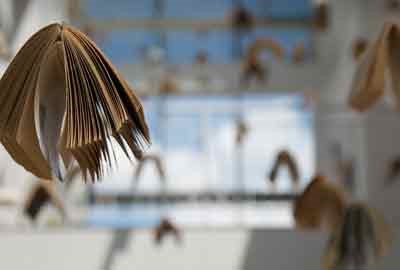 河北物生政450分左右可以上什么大学及专业 冲稳保院校推荐（2026参考）