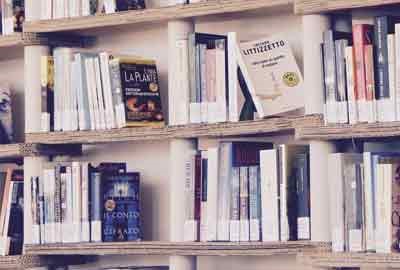 广东物化生311分左右可以上什么大学及专业 冲稳保院校推荐（2026参考）