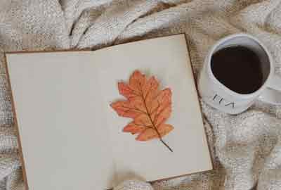 辽宁哪些大学招生智能医学工程专业及选科要求 共17所高校和开设学校推荐(2026参考)