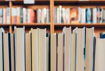 2026上海纽约大学开设哪些专业及最好专业排名 王牌专业推荐