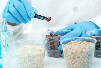 2026浙江科技大学开设哪些专业及最好专业排名 王牌专业推荐